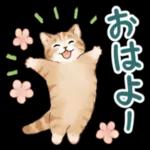 おはよう ござい 0.0