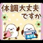 シマエナガの毎日の健康管理と疲労を応援♪