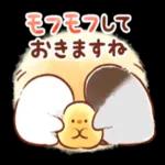 涼しくなってきましたね〜お気をつけて〜