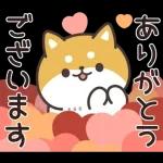 お返事シバイヌくん(ポジティブ)