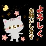 Natural Country Cat 15 flower