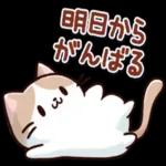 いつもありがとう