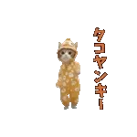 動く！踊るダジャレ猫ミーム！