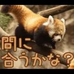 Q. 8 お世話になって ます