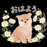 大人かわいい♡いぬと花のスタンプ