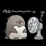 【夏】虚無かわいいアデリーペンギン