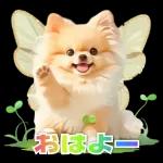 癒しポメラニアンの春のあいさつ 2