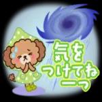 【梅雨・夏】大人かわいい日常