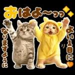 バイバイなのだ