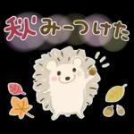 大人の気遣い♡31秋ふわり