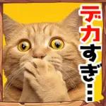 感情丸出しスタンプ