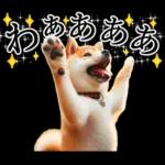 あと一日	金曜日だ！🤕