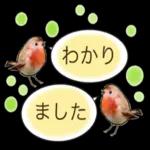 使える 小鳥の日常会話