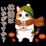 三毛猫のつめあわせ【秋】