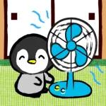 【飛び出す】夏♡大人の暑中見舞い