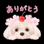 大人かわいい♡いぬと花のスタンプ