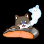 黒豆柴 あずき♡毎日使える 秋冬ver