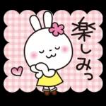 優しい2!!かわいい白うさぎ