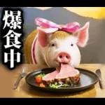 リアル☆メスブタ 3