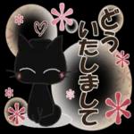 黒ねこの毎日便りスタンプ