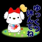 🐶犬の冒険物語