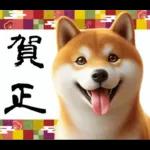 柴犬のあけおめスタンプ