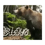 you are the love of my life!