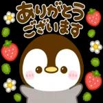 ぺんぺんの春❤️