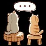 かわいい猫😺が来ますよ！