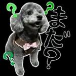 大人かわいい日常メッセージ?