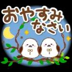 シマエナガの毎日の健康管理と疲労を応援♪