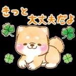 ぽかぽか春便りを届けよう