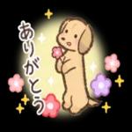 おめでと！