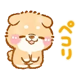 puppy shiba inu koshibachan 1 