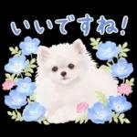 大人かわいい♡いぬと花のスタンプ