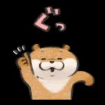 可愛い嘘のカワウソ