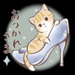 毎日使える♡大人可愛い