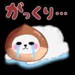 ポメラニアン❤️ぽちゃん「秋」