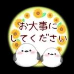 【シマエナガです】花束/夏のひまわり4