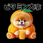 ずっと使える♡めちゃかわスイーツポメ