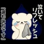 癒しを運ぶくまさん ♡ ポジティブ