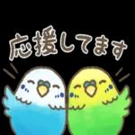 一緒にがんばろ！！！