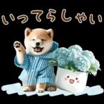 今日も頑張ったね！！