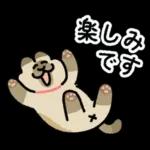 ねことしもべ２ （ねこだけ敬語スタンプ）