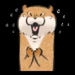 可愛い嘘のカワウソ