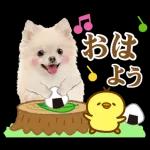 かわいいわんちゃん