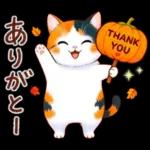三毛猫のつめあわせ【秋】