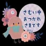 今日の癒しと元気をお届けますよ〜