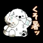 動く犬さん 2025 「暑い夏」