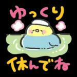 可愛いインコちゃんと一緒に冬を過ごしましょう！